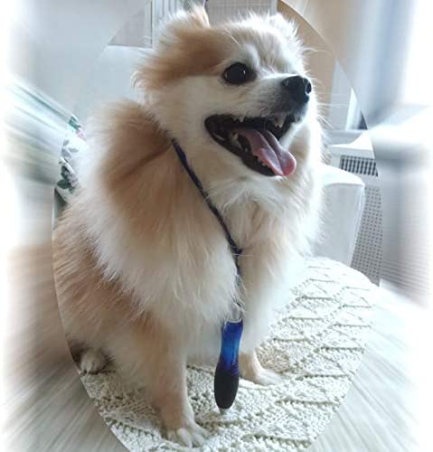 Super Big Fat Pens for Arthritis, Black Ink, Blue body (pack of 5 pens + 5 Extra Ink Refills)